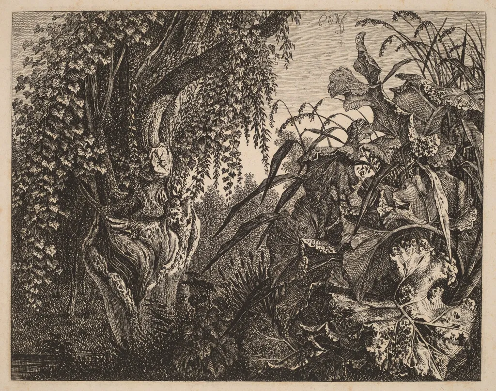 A Thicket; a Gnarled Willow Tree at Left, a Thicket of Vegetation at Right, by Carl Wilhelm Kolbe, ink