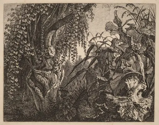 A Thicket; a Gnarled Willow Tree at Left, a Thicket of Vegetation at Right, by Carl Wilhelm Kolbe