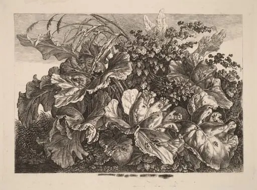 Foliage Study with Reed and Hops, by Carl Wilhelm Kolbe