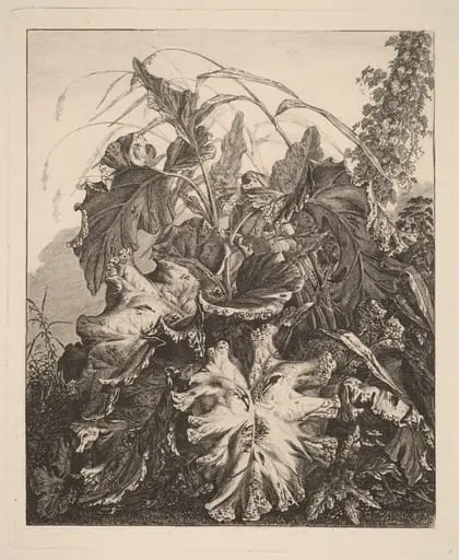 Foliage with Reeds, by Carl Wilhelm Kolbe