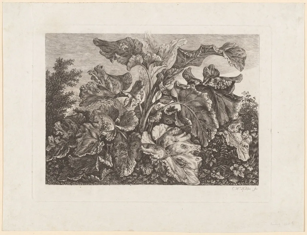 Plant Study with Burdock, by Carl Wilhelm Kolbe, ink