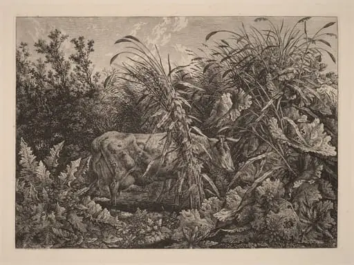 The Cow in the Swamp, by Carl Wilhelm Kolbe