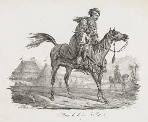 Large Suite of Horses:  Mounted Mamelucke
