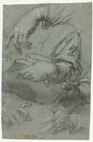 Studies of Hands (recto), by Carletto Caliari