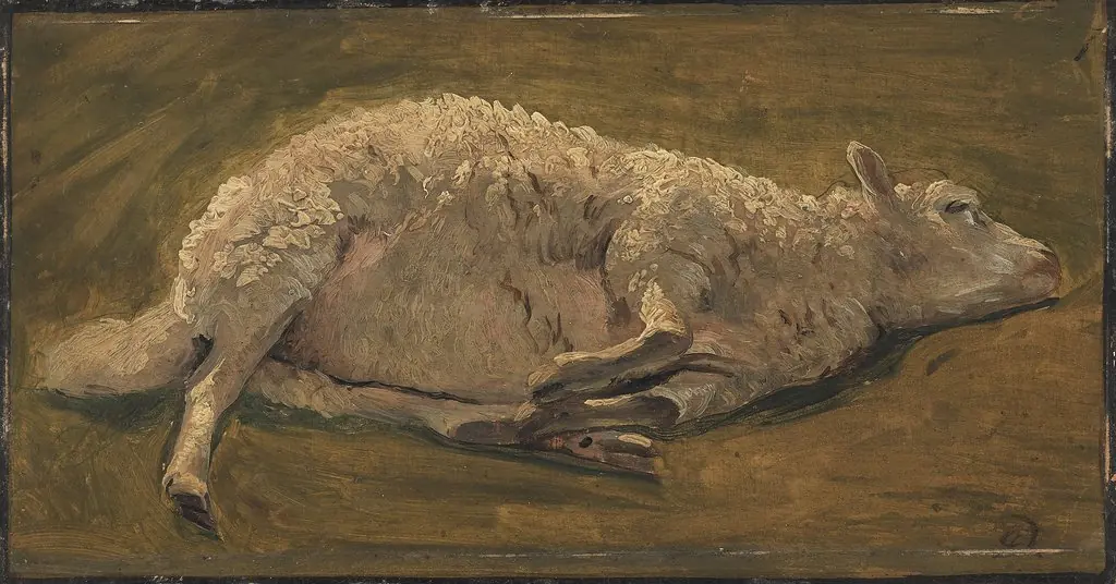 Studie af et liggende får, by Carlo Dalgas