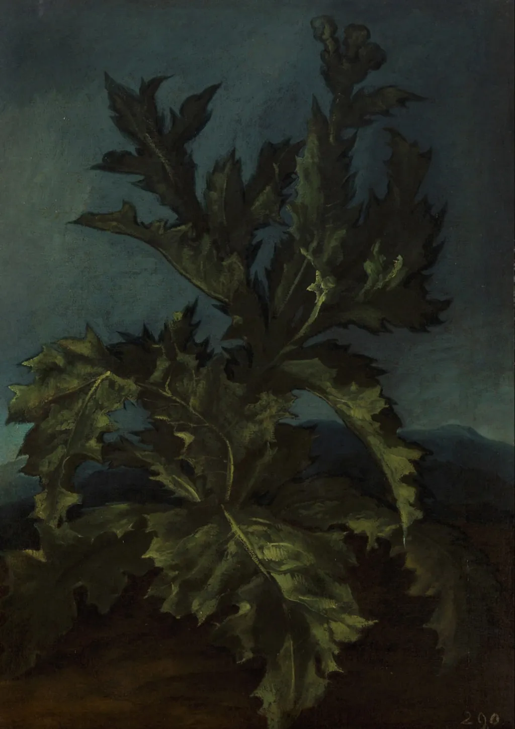 Thistle, by Carlo Dolci, unspecified, 1661