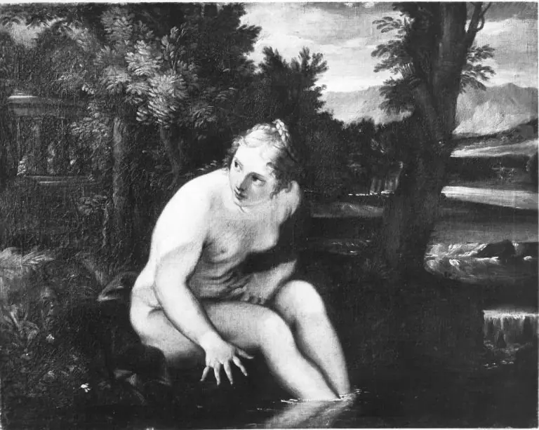 Bathing wood nymph