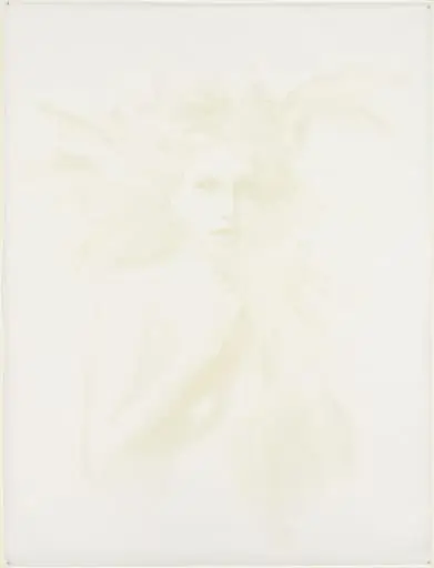 Untitled, by Carol Bove