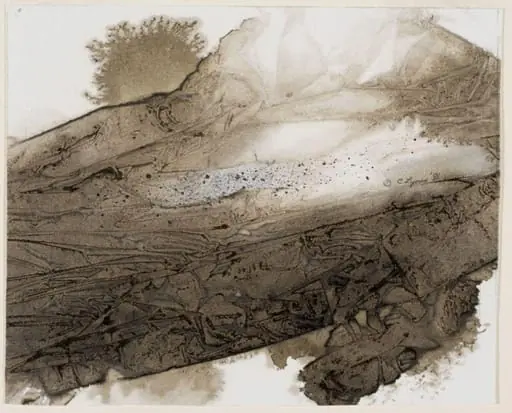 Landscape Image XVII, by Carol Lyons