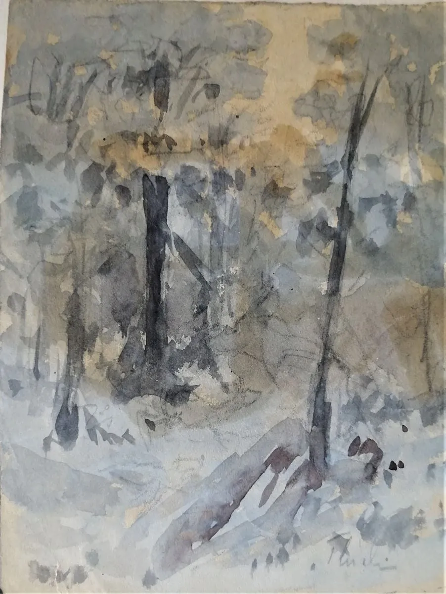 Schiță de pădure, iarna, by Carol Pop de Szathmári, 1874