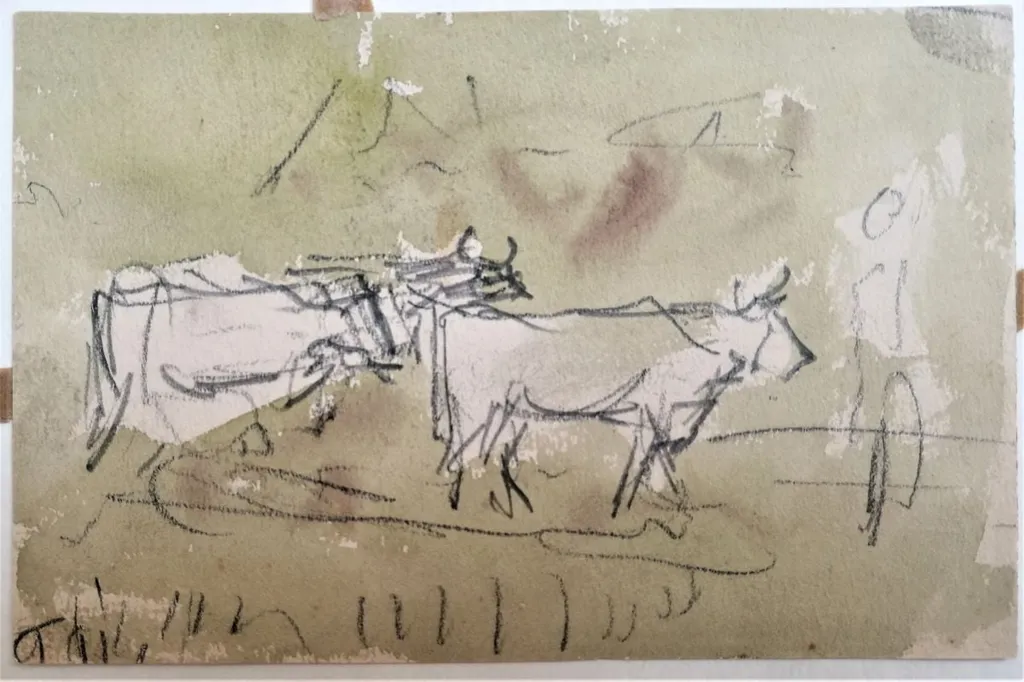 Studiu de boi (Schiță), by Carol Szathmari, unspecified, 1850