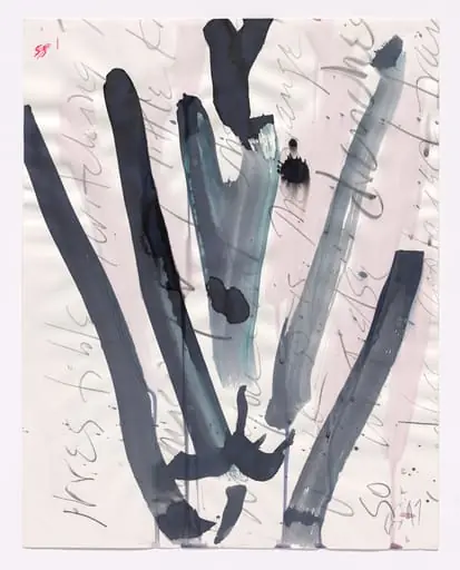 Untitled, by Carolee Schneemann