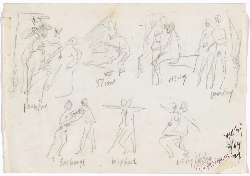 Untitled, by Carolee Schneemann, graphite, 1964