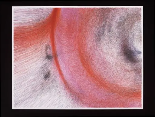 MicroImage