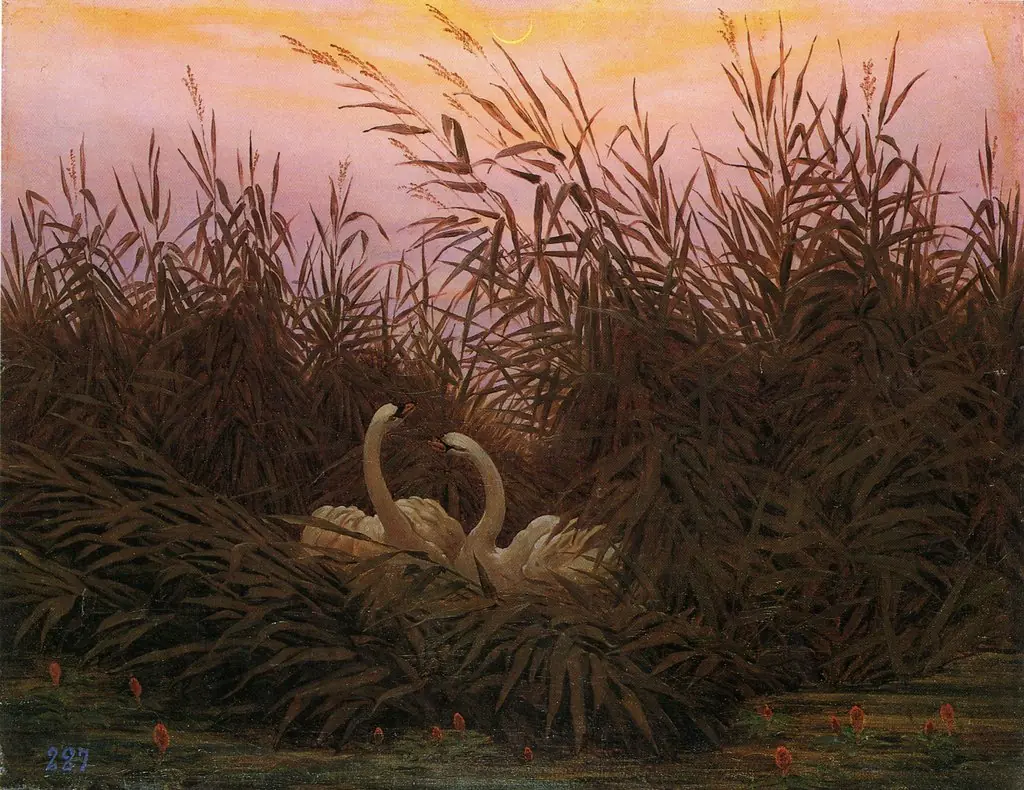 Swans in the reeds at the first dawn, by Caspar David Friedrich