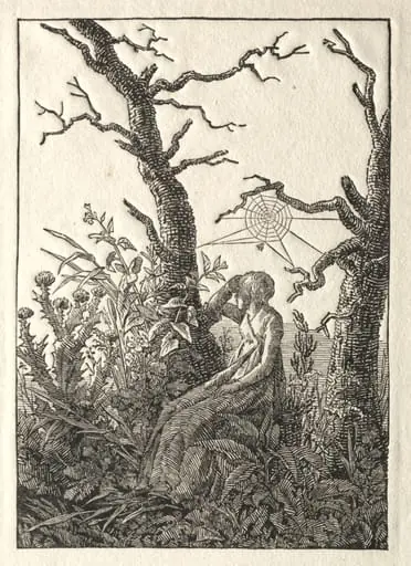 The Woman with the Spider Web between Bare Trees, by Caspar David Friedrich