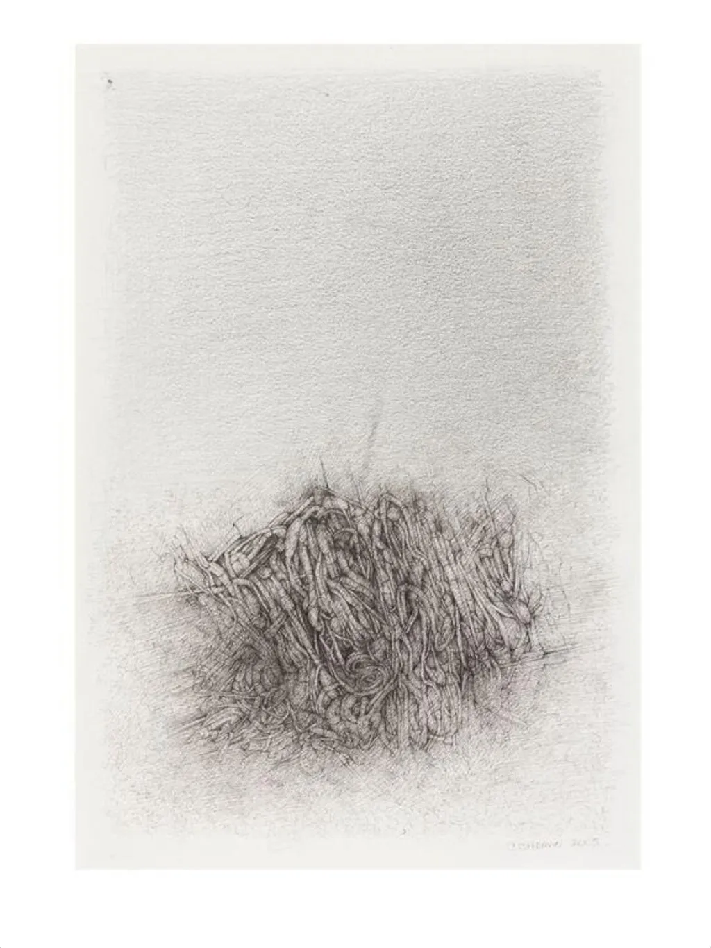No Title 1, by Catalina Chervin, 2005