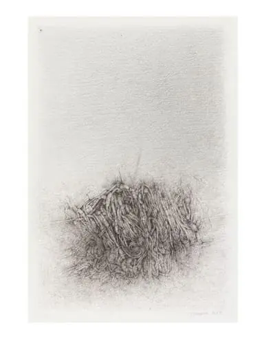 No Title 1, by Catalina Chervin