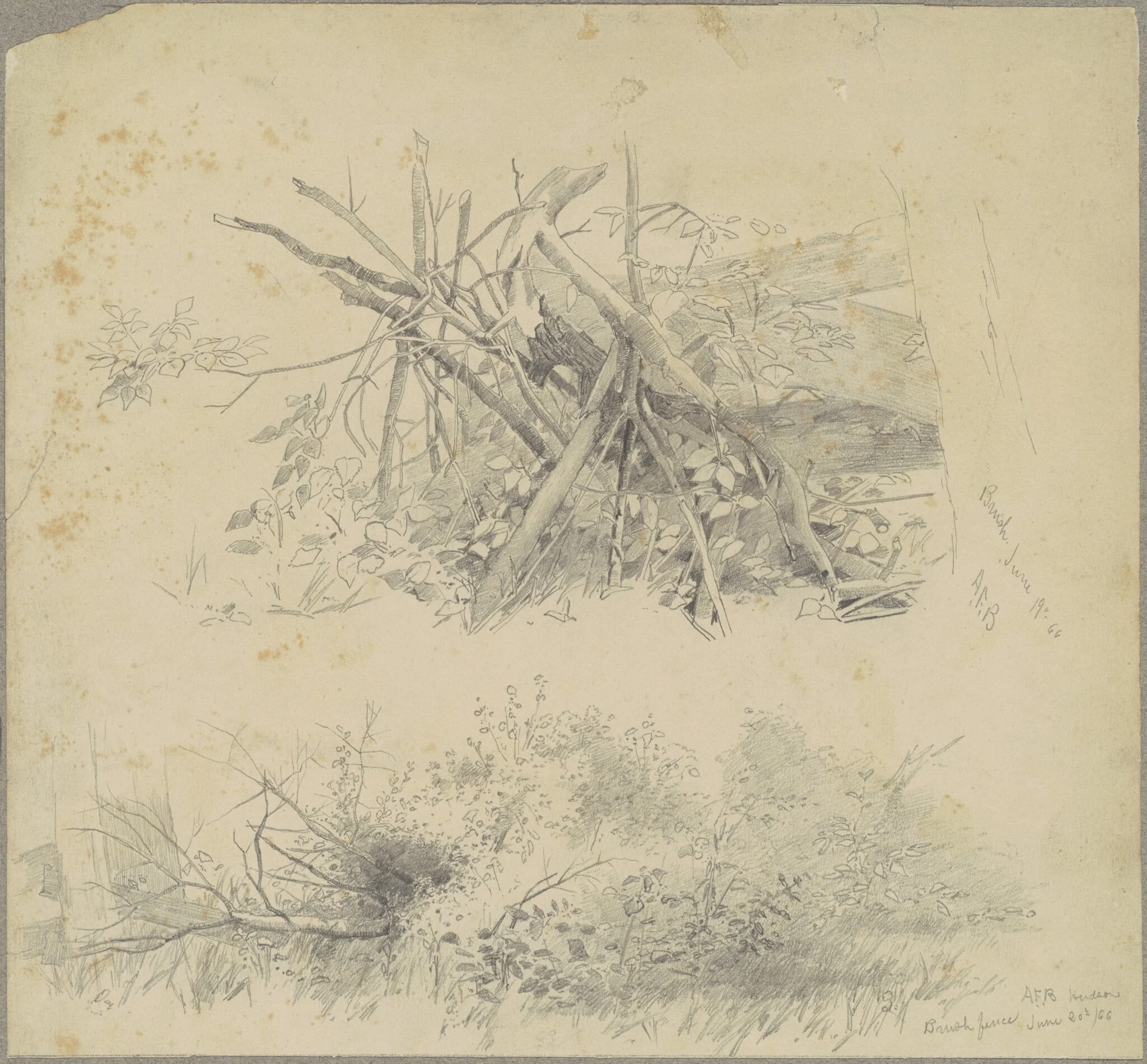 Brush; and Hudson Brush Fence, detail