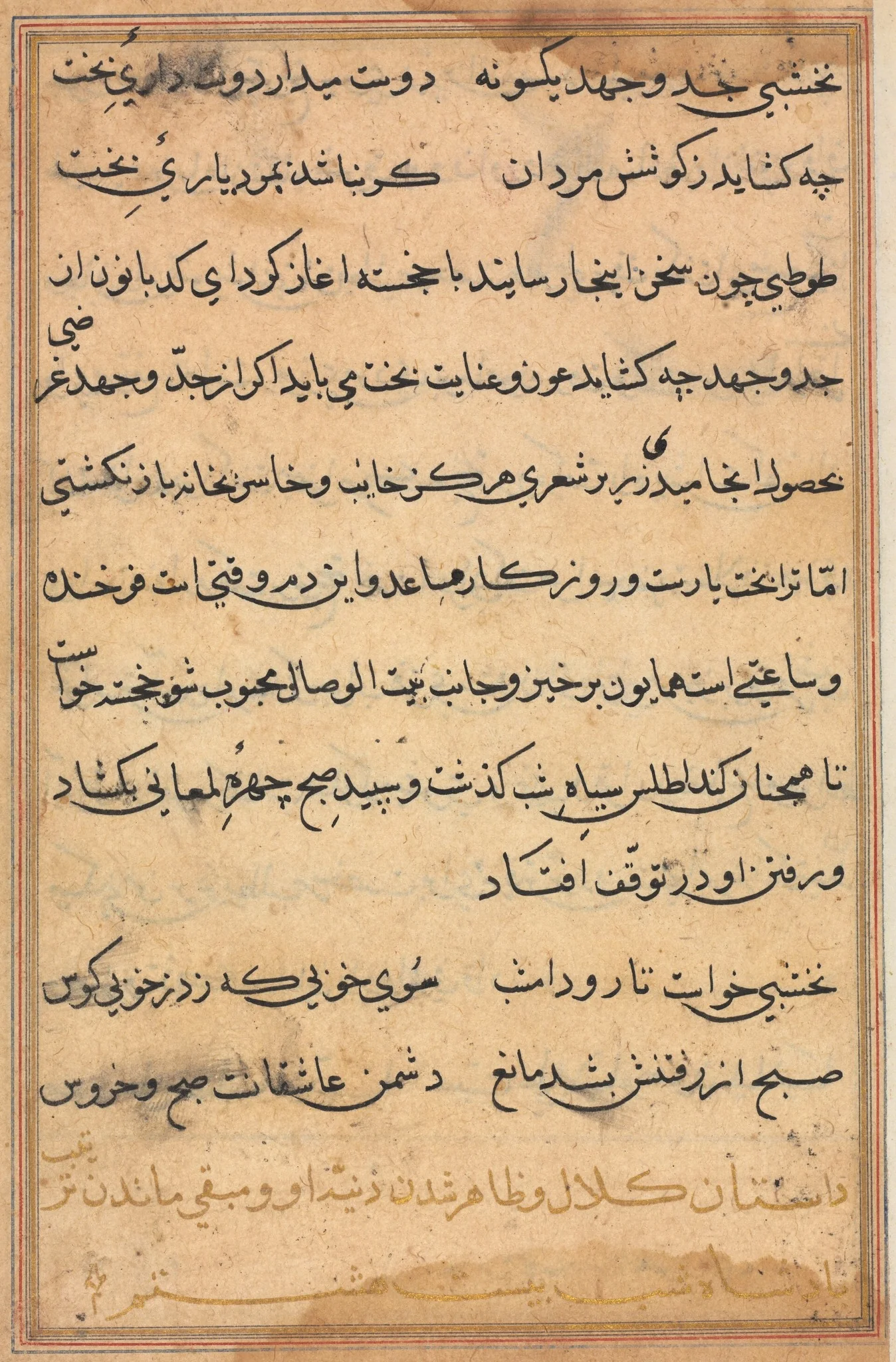 Page from Tales of a Parrot (Tuti-nama): text page, detail
