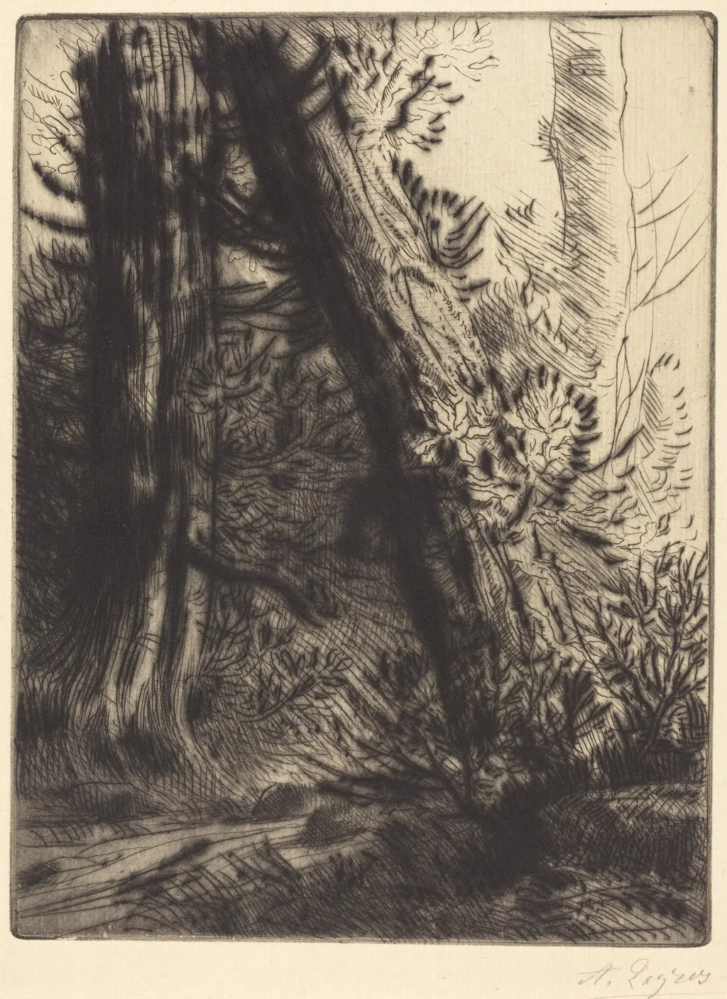 Edge of a Brook (Bord de ruisseau), by Alphonse Legros, ink, 1874