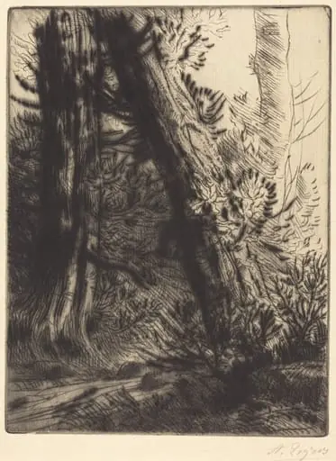 Edge of a Brook (Bord de ruisseau), by Alphonse Legros, ink, 1874