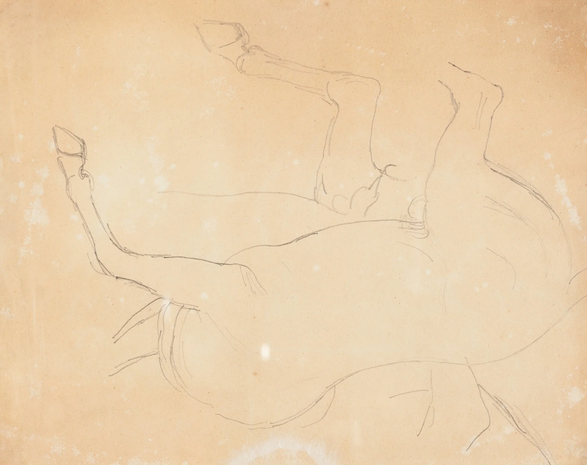 Study of a Horse [verso], detail
