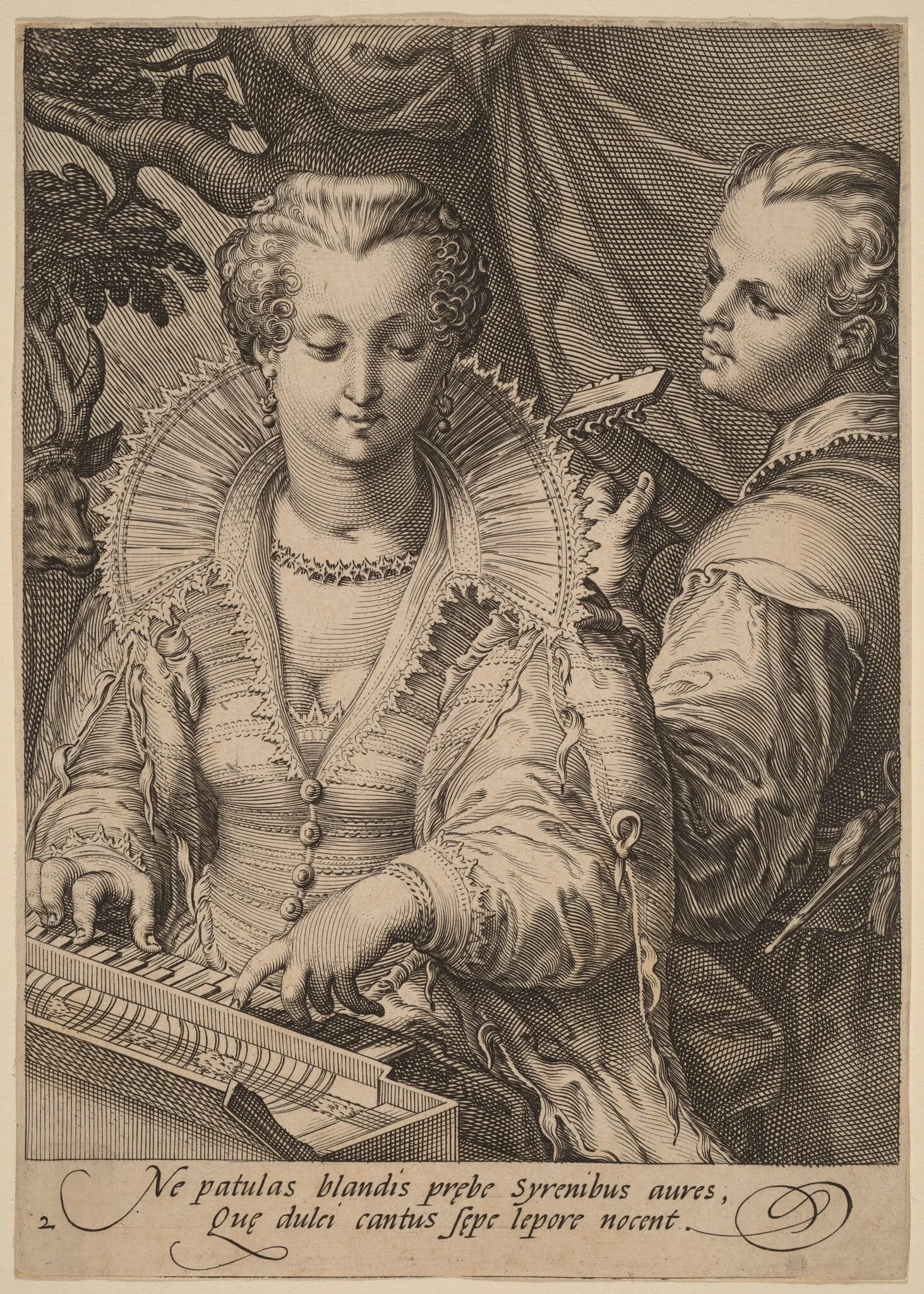 Hearing, detail