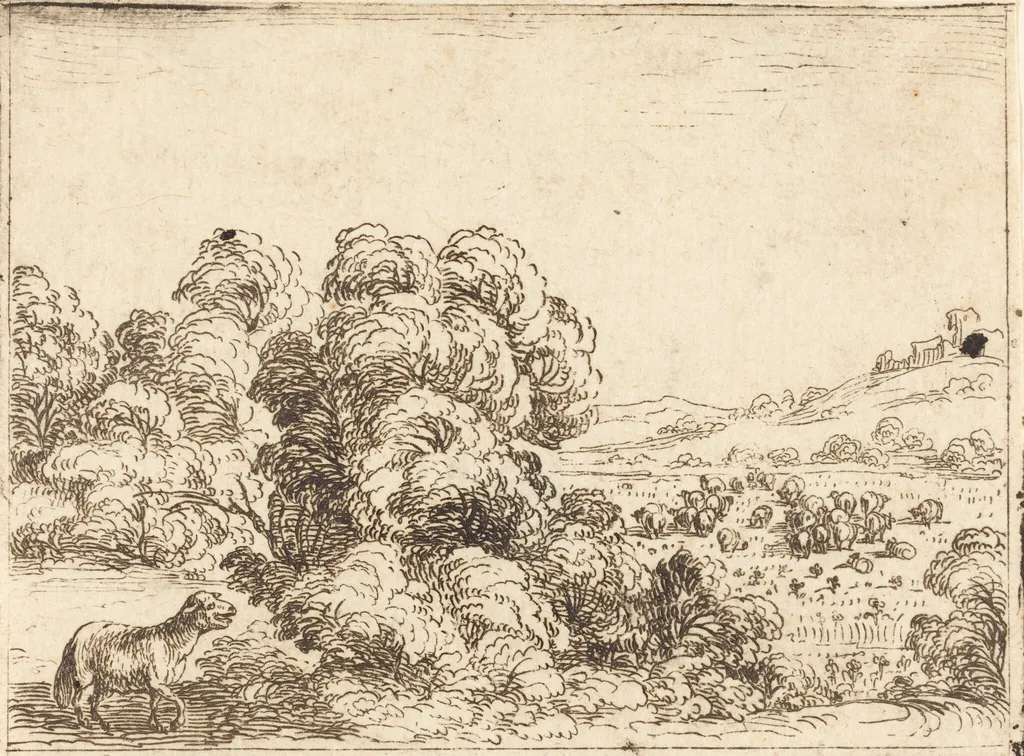Sheep Calling Lamb, by Jacques Callot, ink, 1628