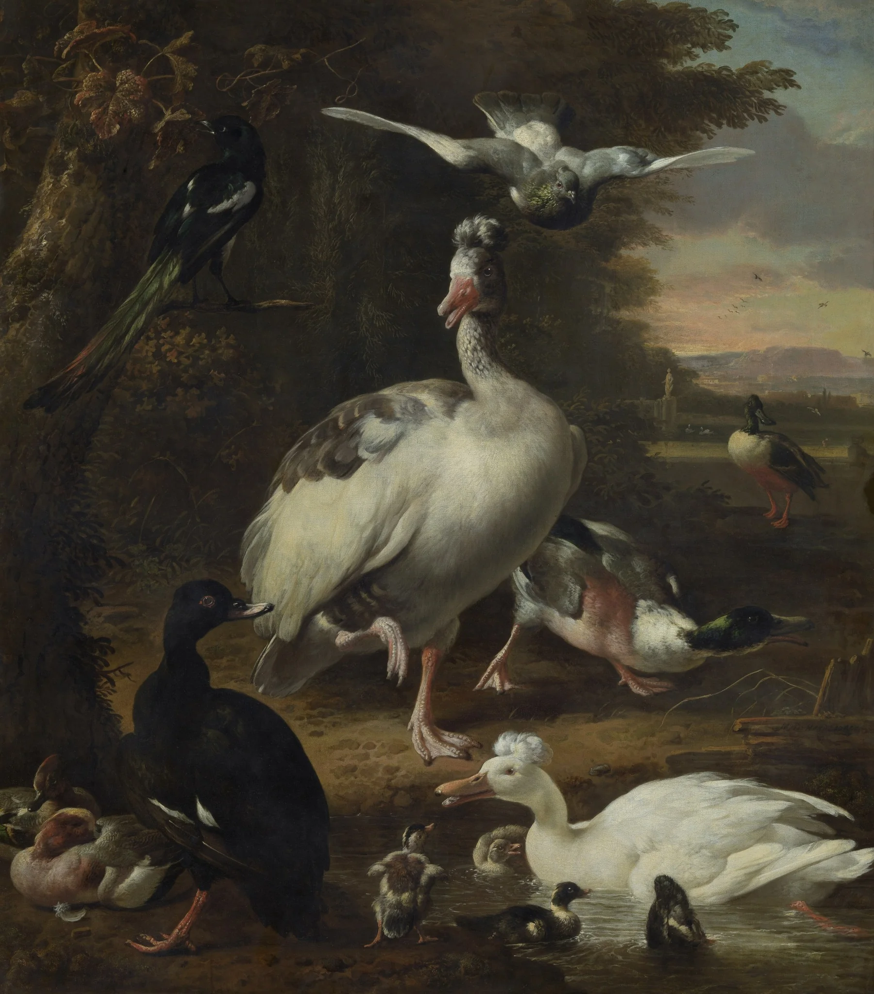 Birds, detail