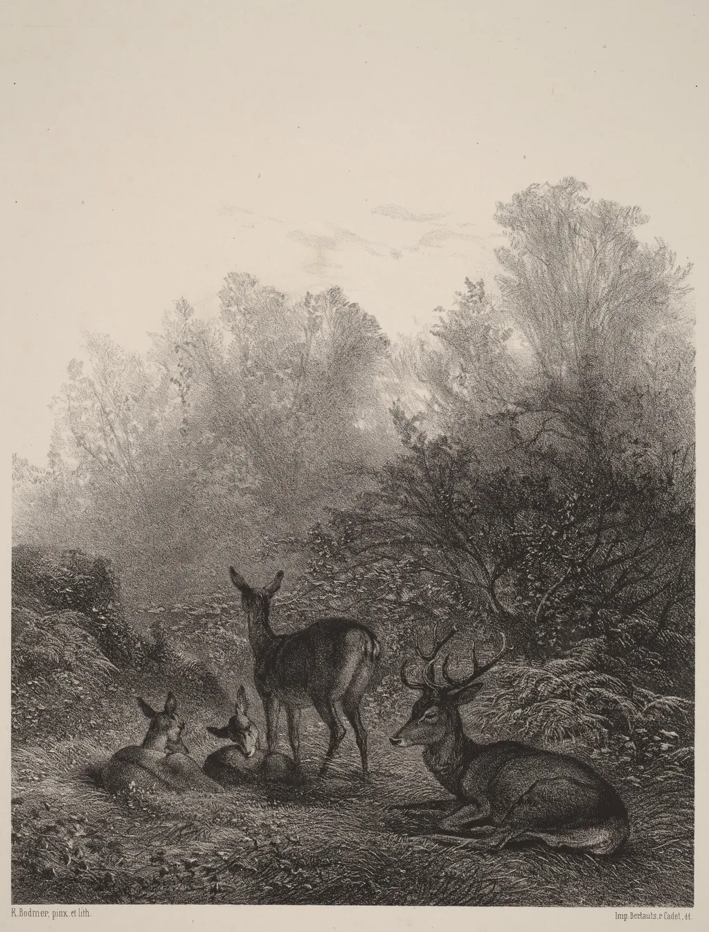 Biches au repos, by Karl Bodmer, ink, 1851