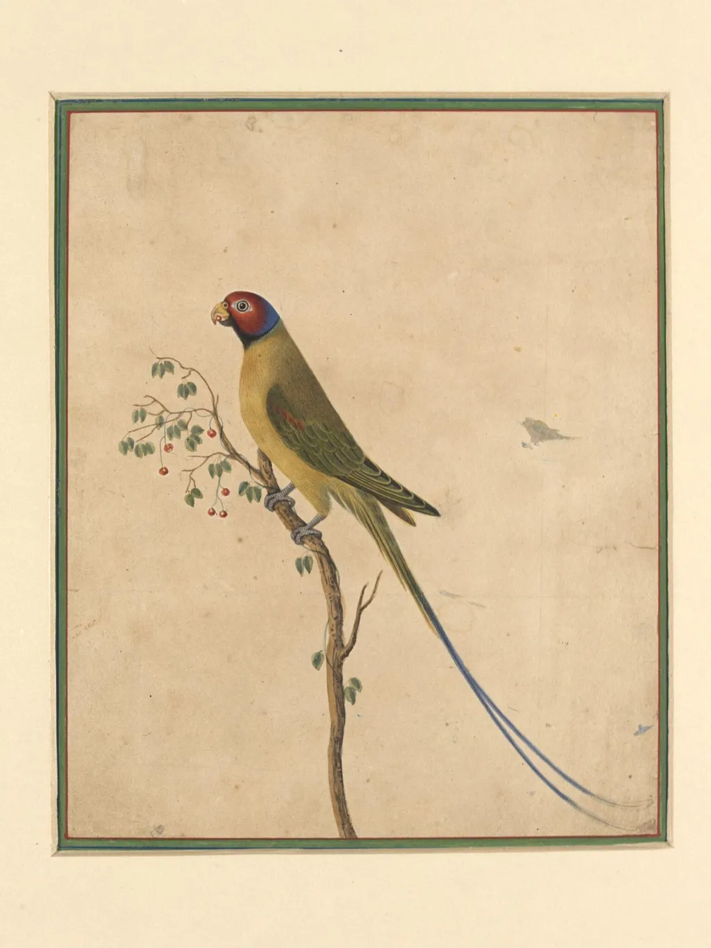 A parakeet, by Bahadur Lal II, paint, 1880
