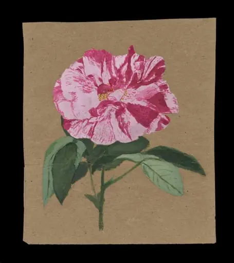 Untitled, by Beatrix Potter, watercolor, 1876