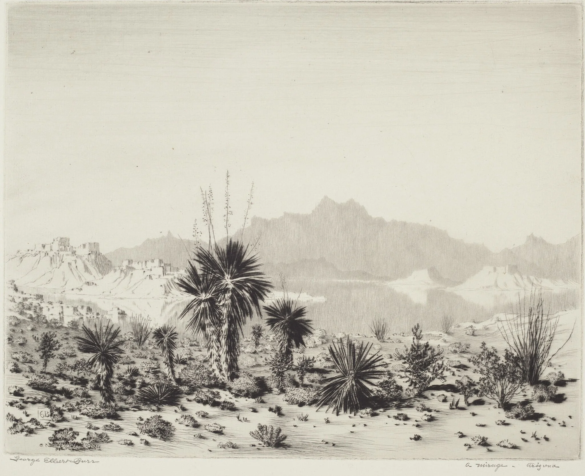 A Mirage, Arizona, detail