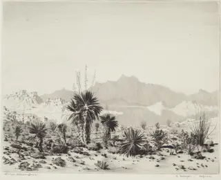 A Mirage, Arizona, by George Elbert Burr, ink, 1929