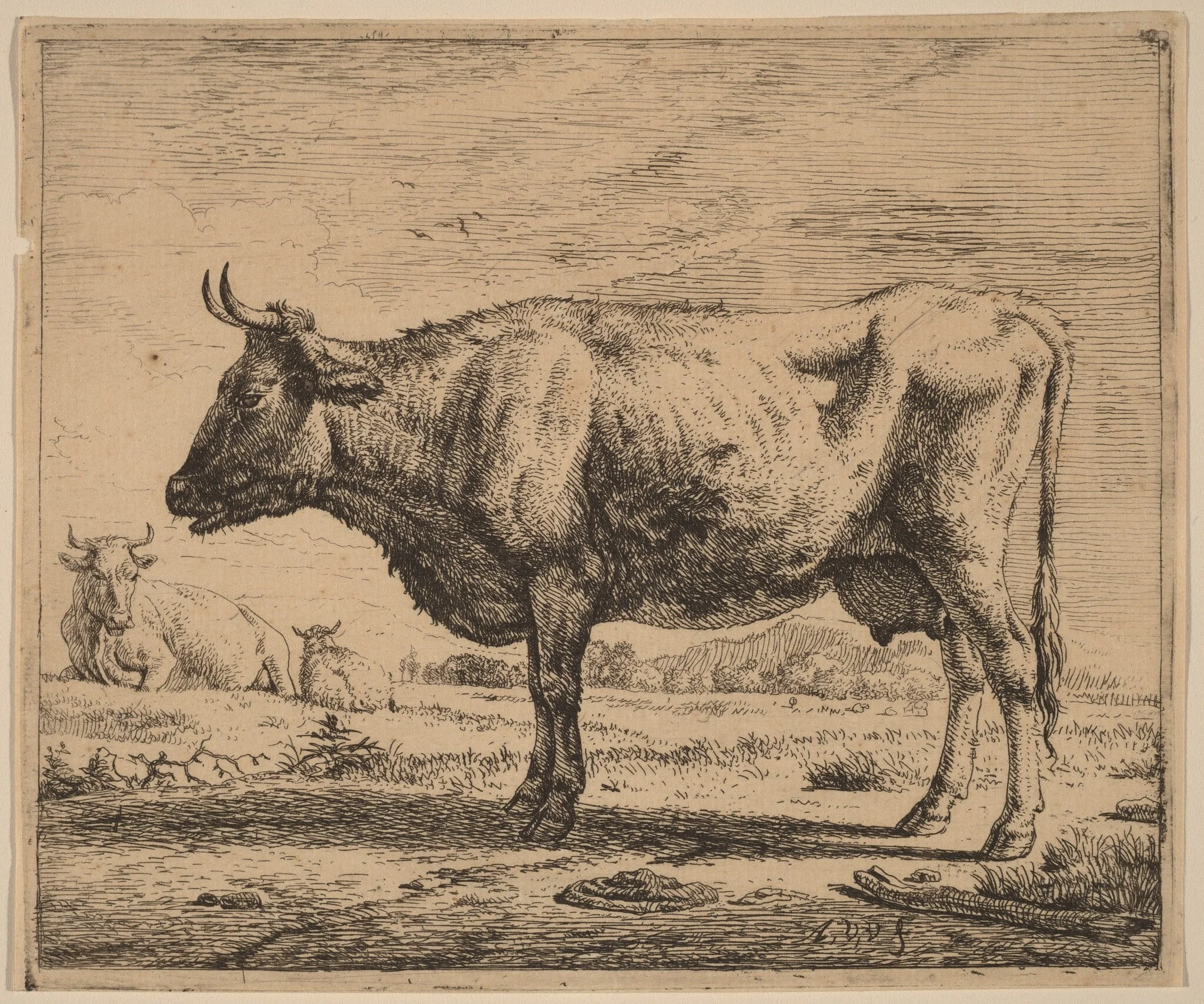 Two Cows and a Sheep, detail