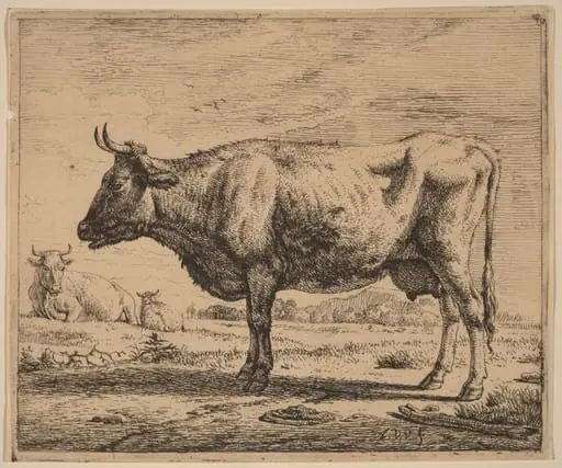 Two Cows and a Sheep, by Adriaen van de Velde, ink, 1658