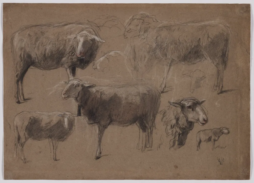 Studies of Sheep, by Anton Mauve, 1869