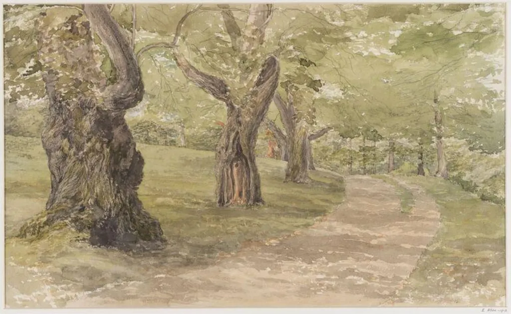 Study of Trees, by Thomas Brittain Vacher, watercolor, 1850