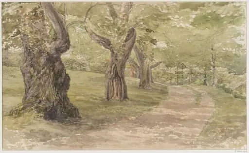 Study of Trees, by Thomas Brittain Vacher, watercolor, 1850