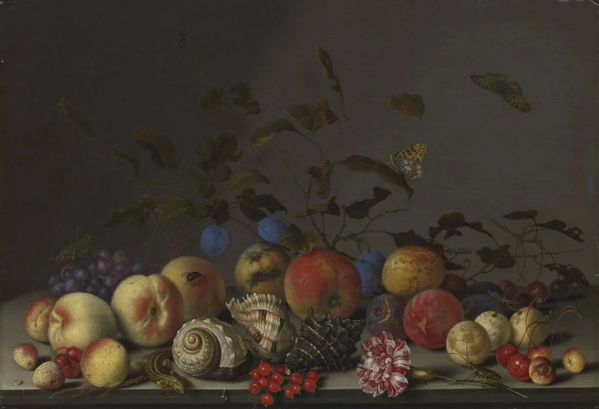 Stillleben mit Früchten und Seeschneckenhäusern, detail