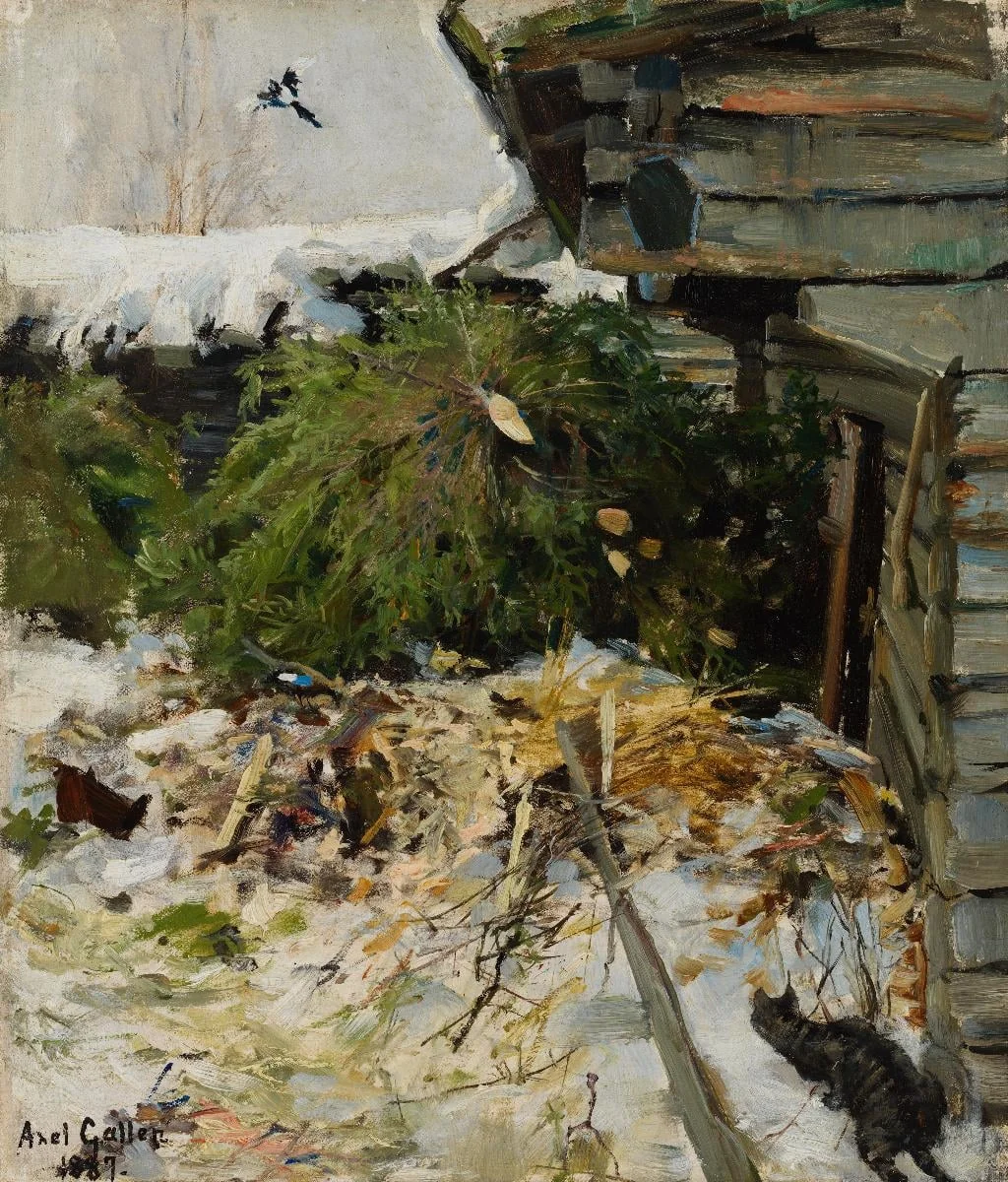 Kuusia karjapihassa, detail