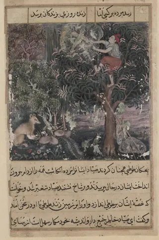 The hunter throws away the baby parrots, who pretend to be dead, and captures the mother, from a Tuti-nama (Tales of a Parrot): Fifth Night, by Basawan, unspecified, 1560