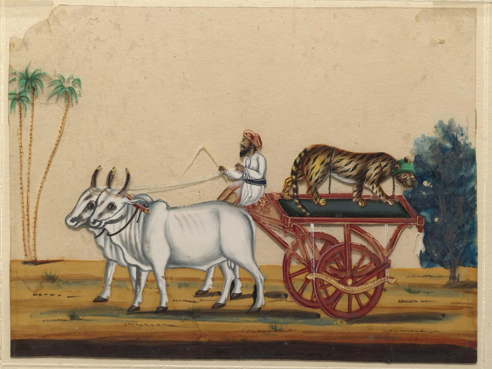 A bullock cart carrying a cheetah., detail