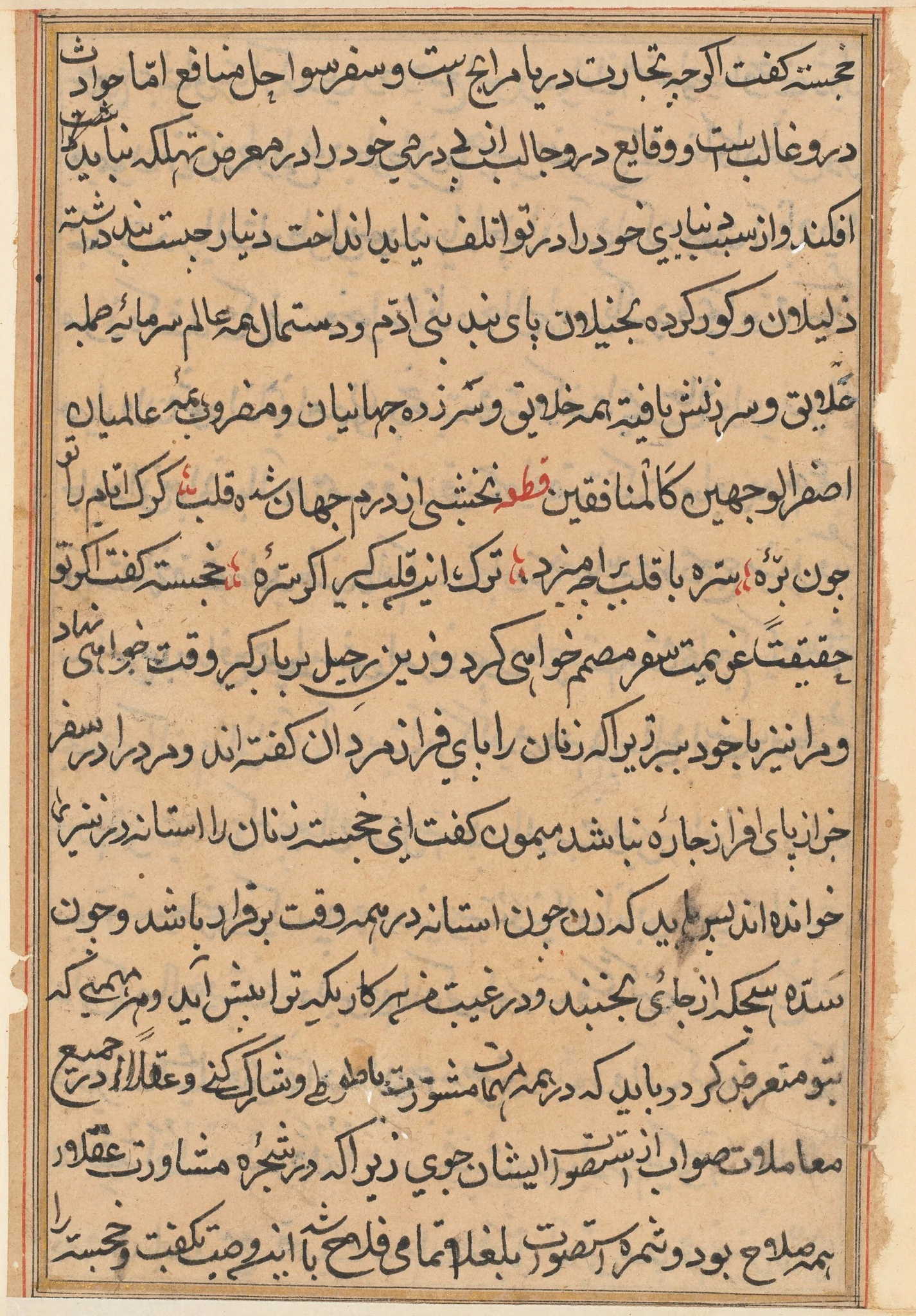Page from Tales of a Parrot (Tuti-nama): text page, detail