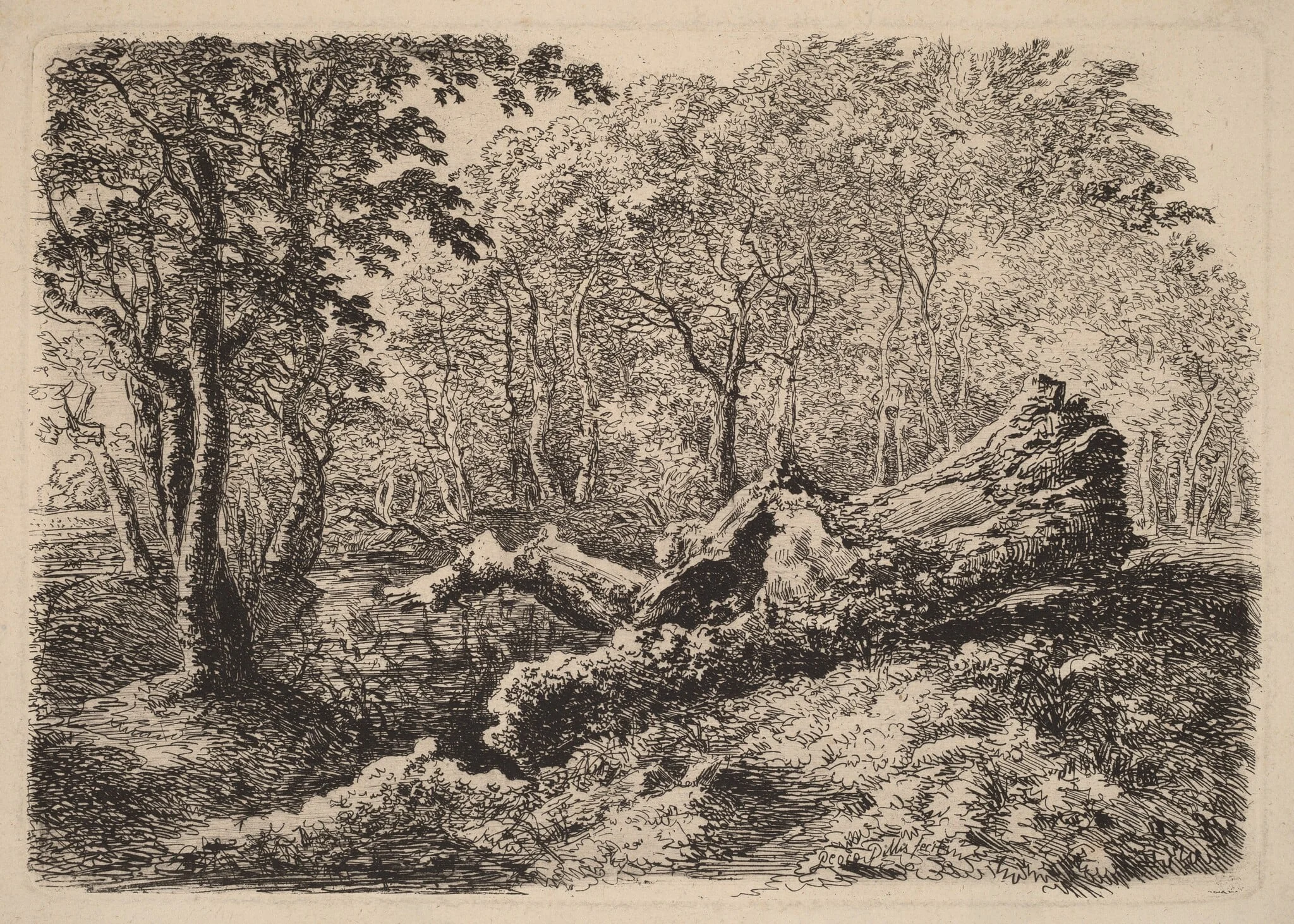 Mouldering Tree Trunk, detail