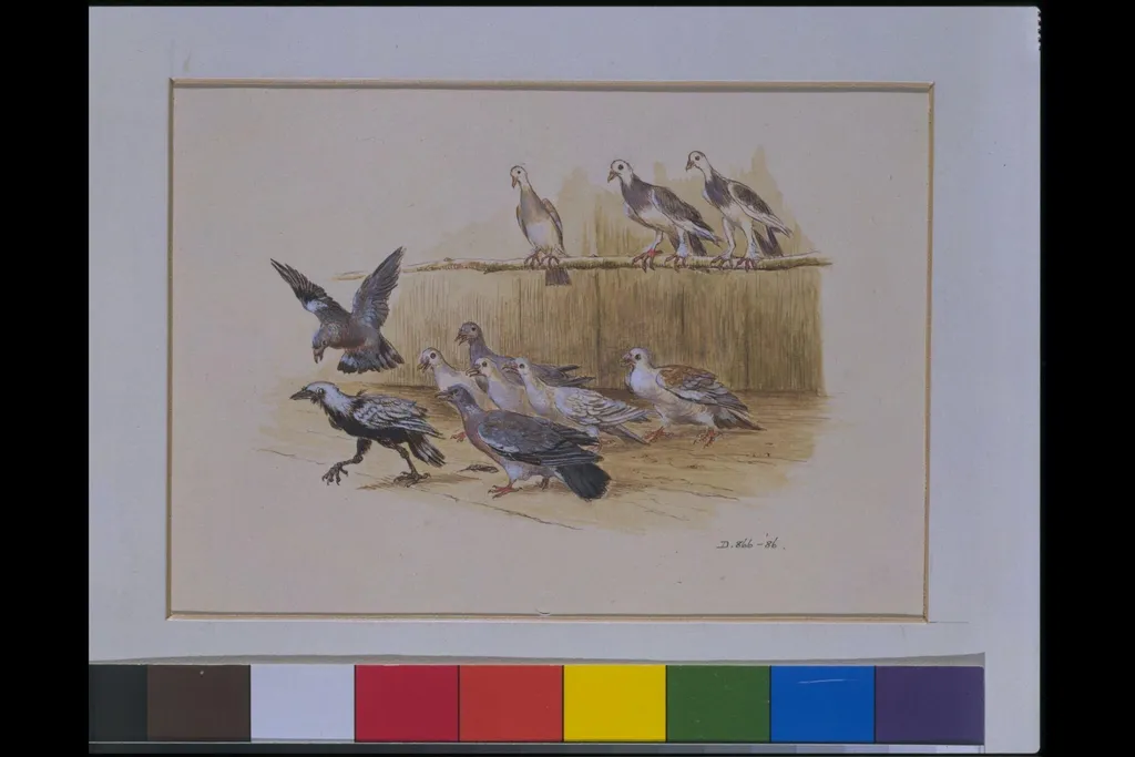 Aesop's Fables, by Caldecott, watercolor, 1883