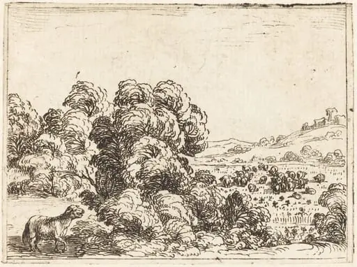 Sheep Calling Lamb, by Jacques Callot, ink, 1628