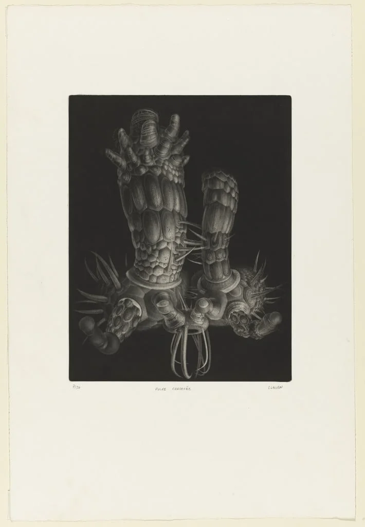 Untitled, detail