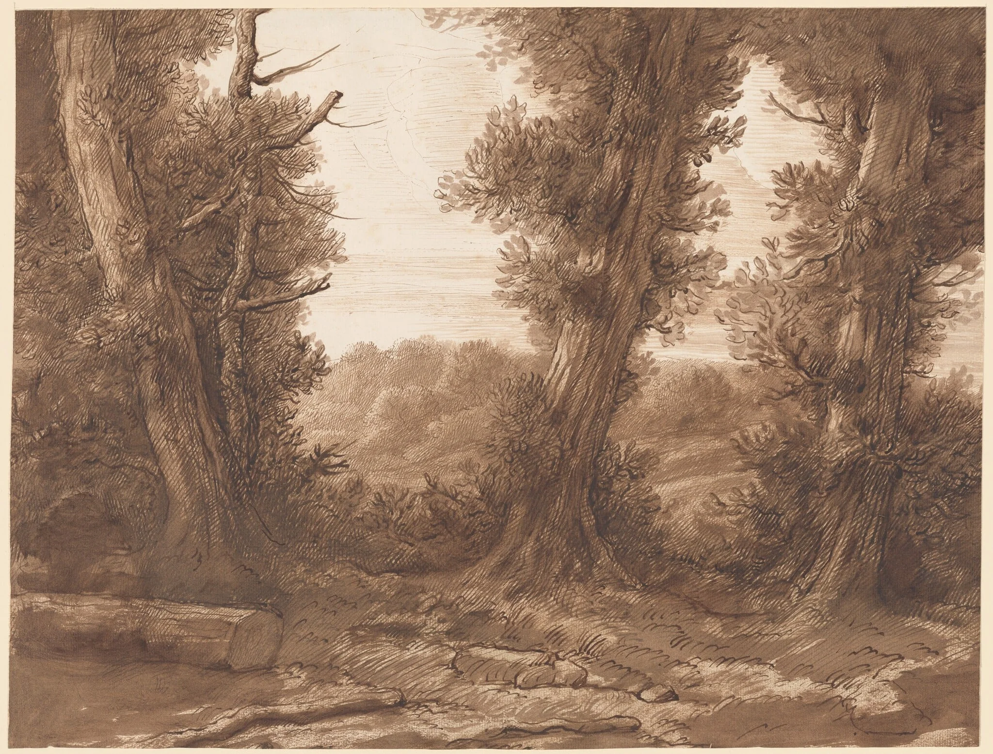 The Big Trees, detail